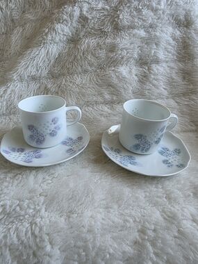 Vintage Floral Porcelain Teacup and Saucer 2 Set - Pastel Blue & Lavender